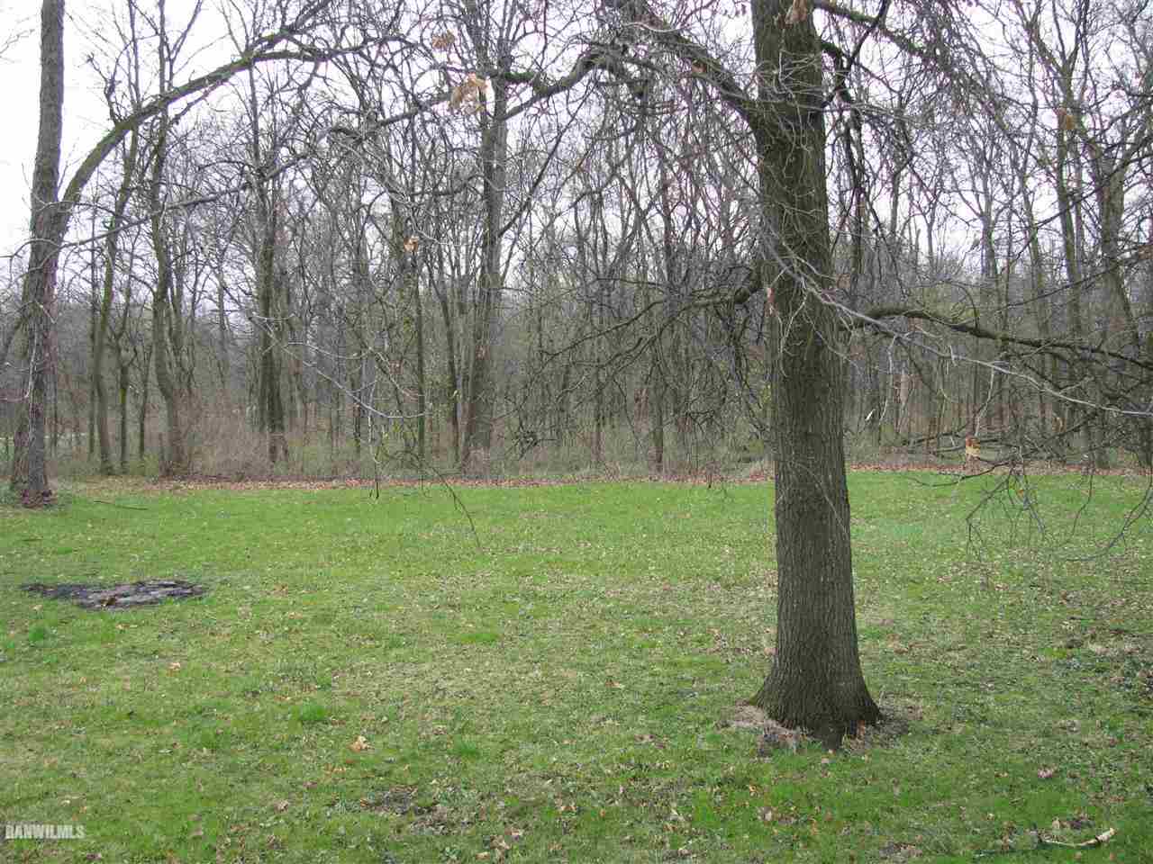 8984 West Lightsville Road German Valley, IL 61039 - Photo 7 of 8 a backyard of a house with lots of green space