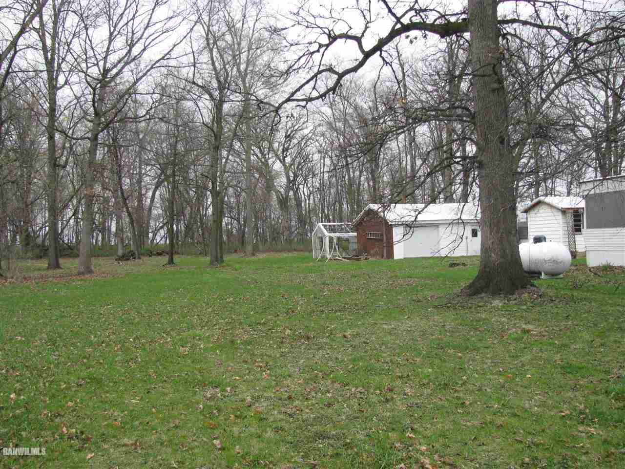 8984 West Lightsville Road German Valley, IL 61039 - Photo 8 of 8 a huge green field with lots of trees