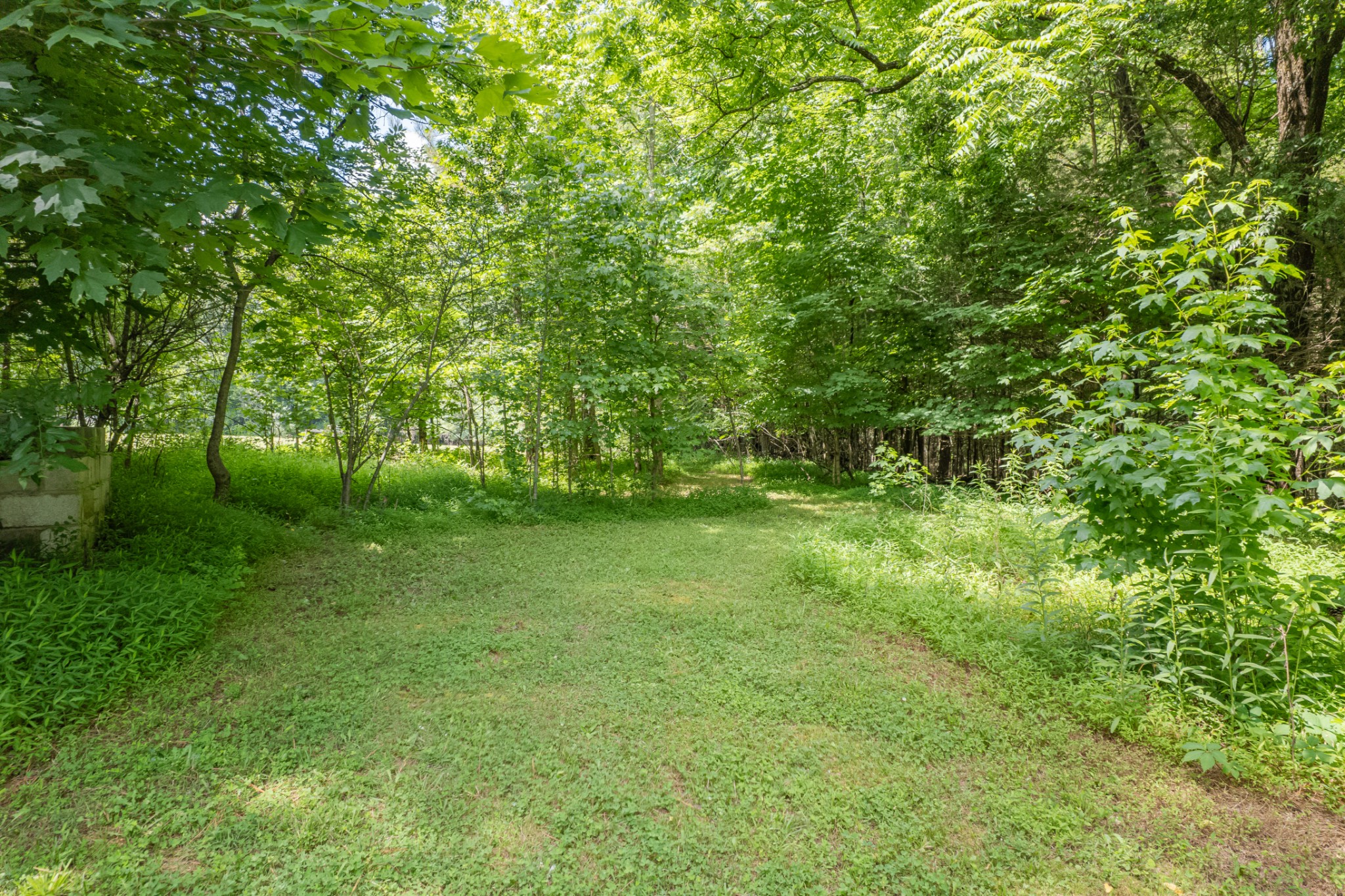 812 Good Hope Road Leoma, TN 38468 - Photo 14 of 66