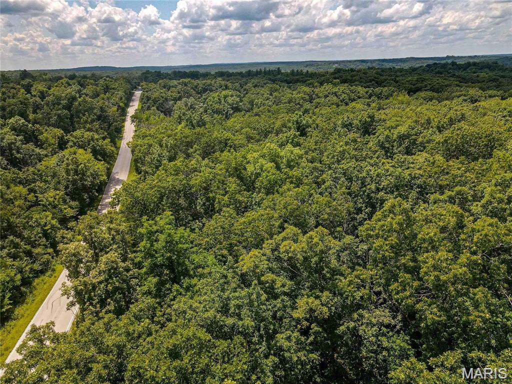 1811 Hendricks Road Lonedell, MO 63060 - Photo 3 of 5