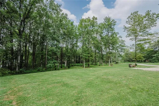 a backyard of a house with lots of green space