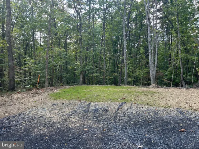 a view of outdoor space and yard
