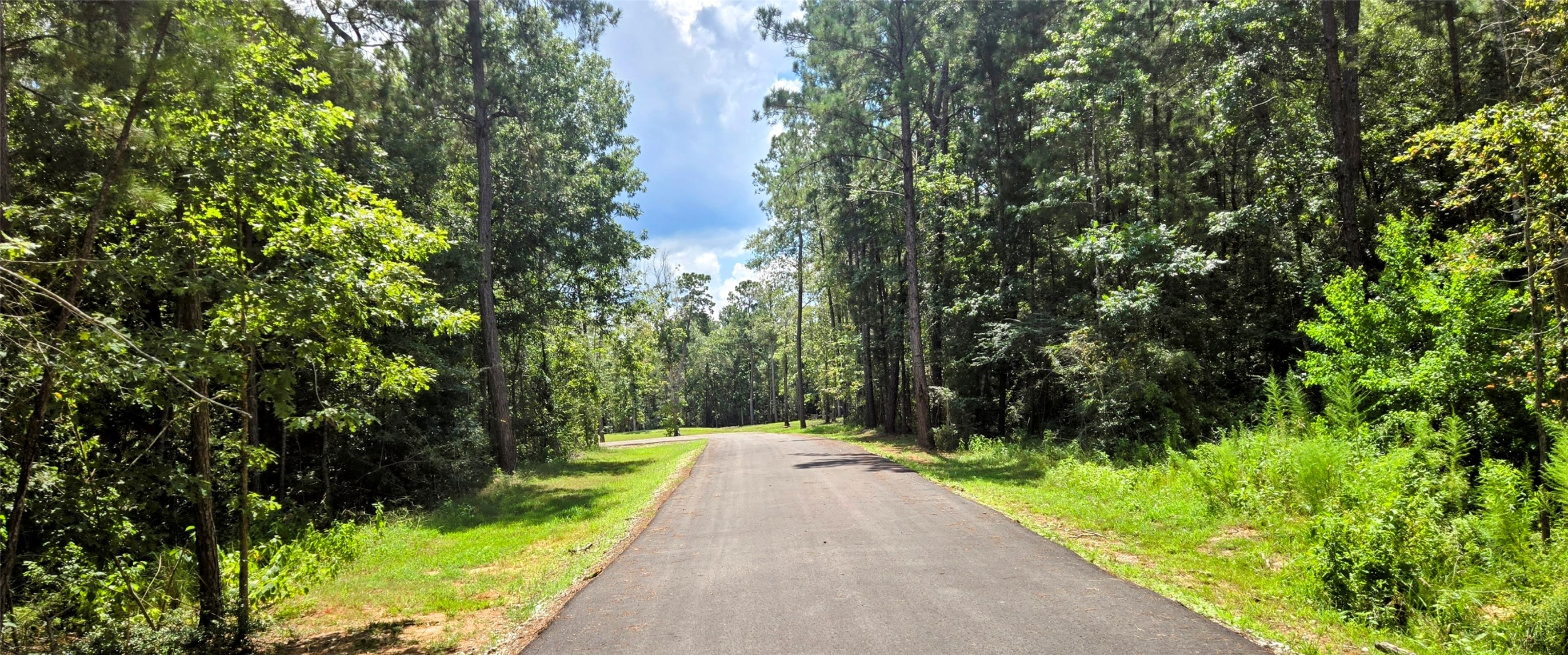194 Iron Horse Road New Waverly, TX 77358 - Photo 15 of 18 a view of park with large trees