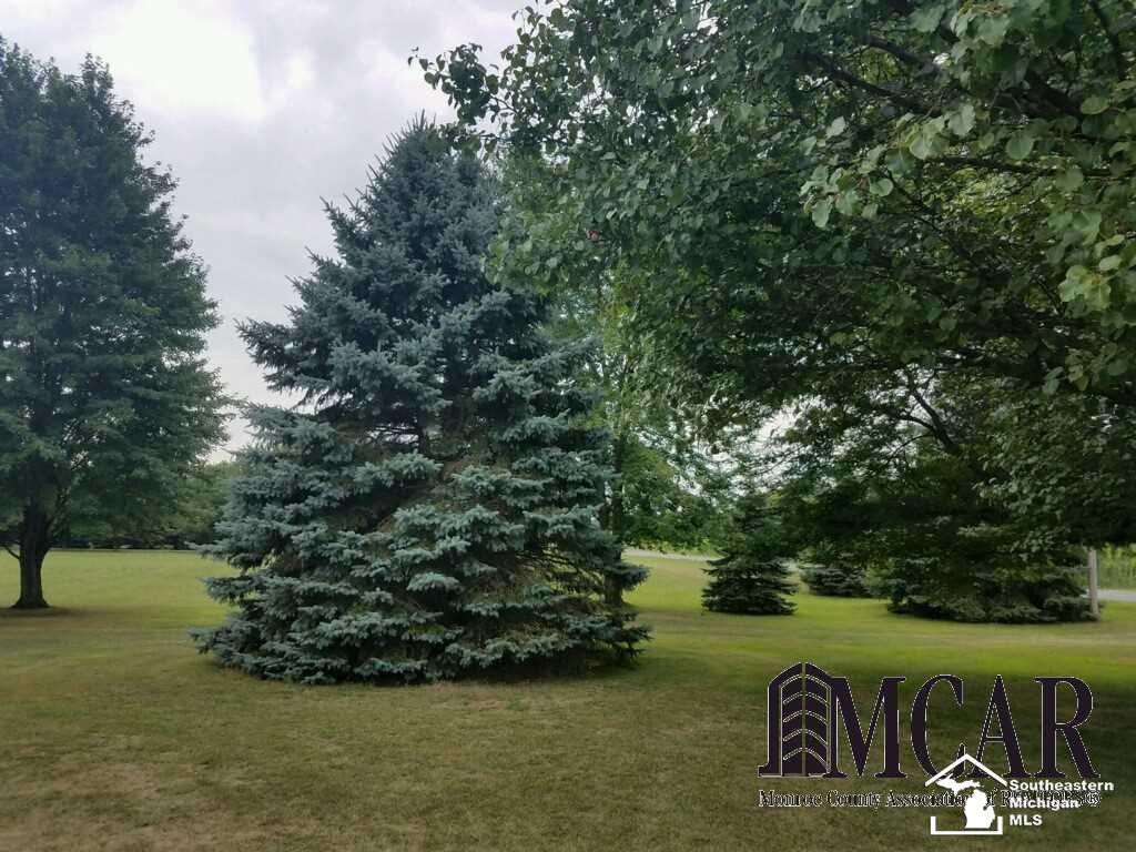 3200 Reinhardt Road Monroe, MI 48162 - Photo 33 of 39 21483440-32.JPG