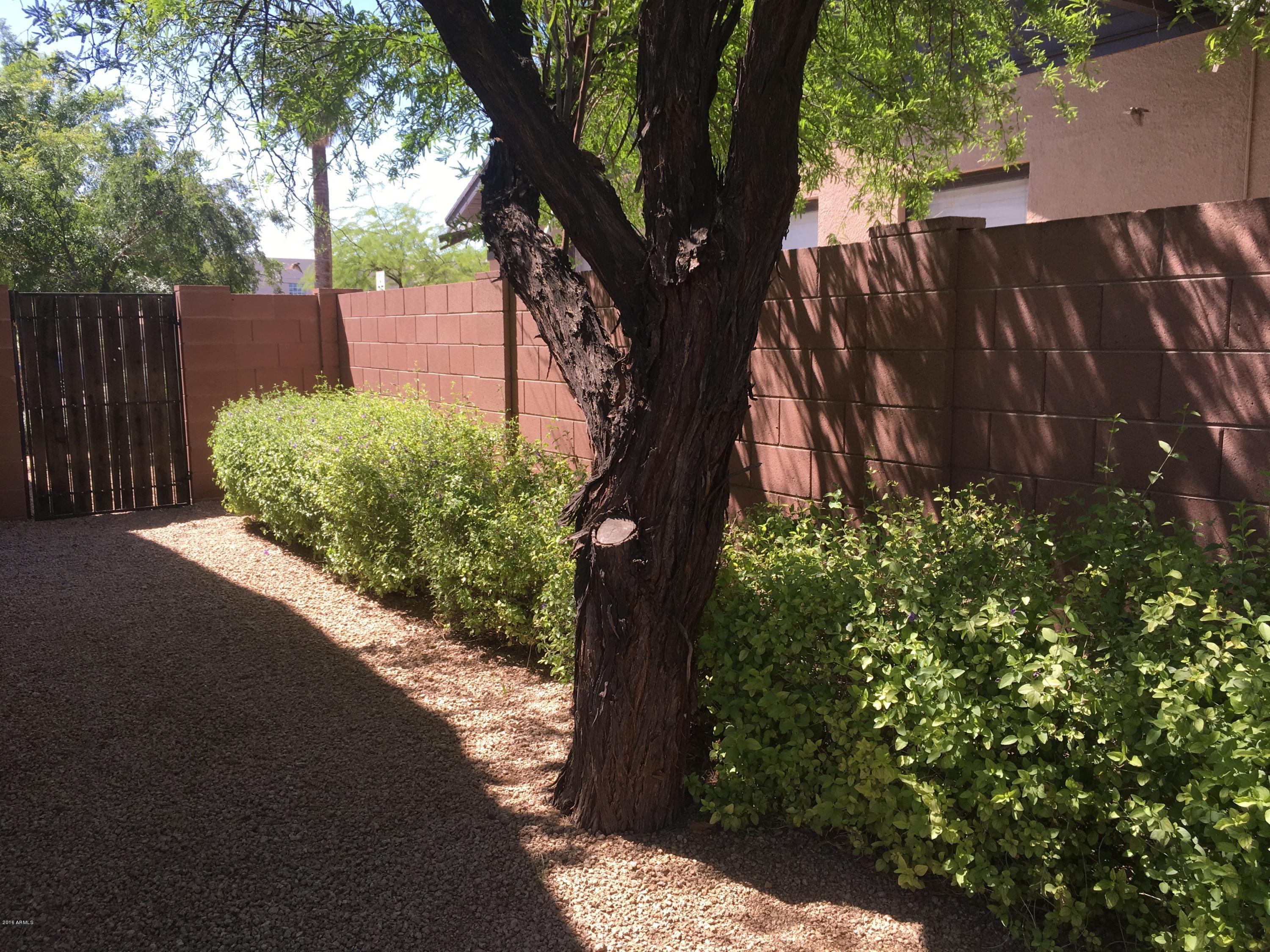 946 East Coronado Road Phoenix, AZ 85006 - Photo 7 of 23 IMG_6525