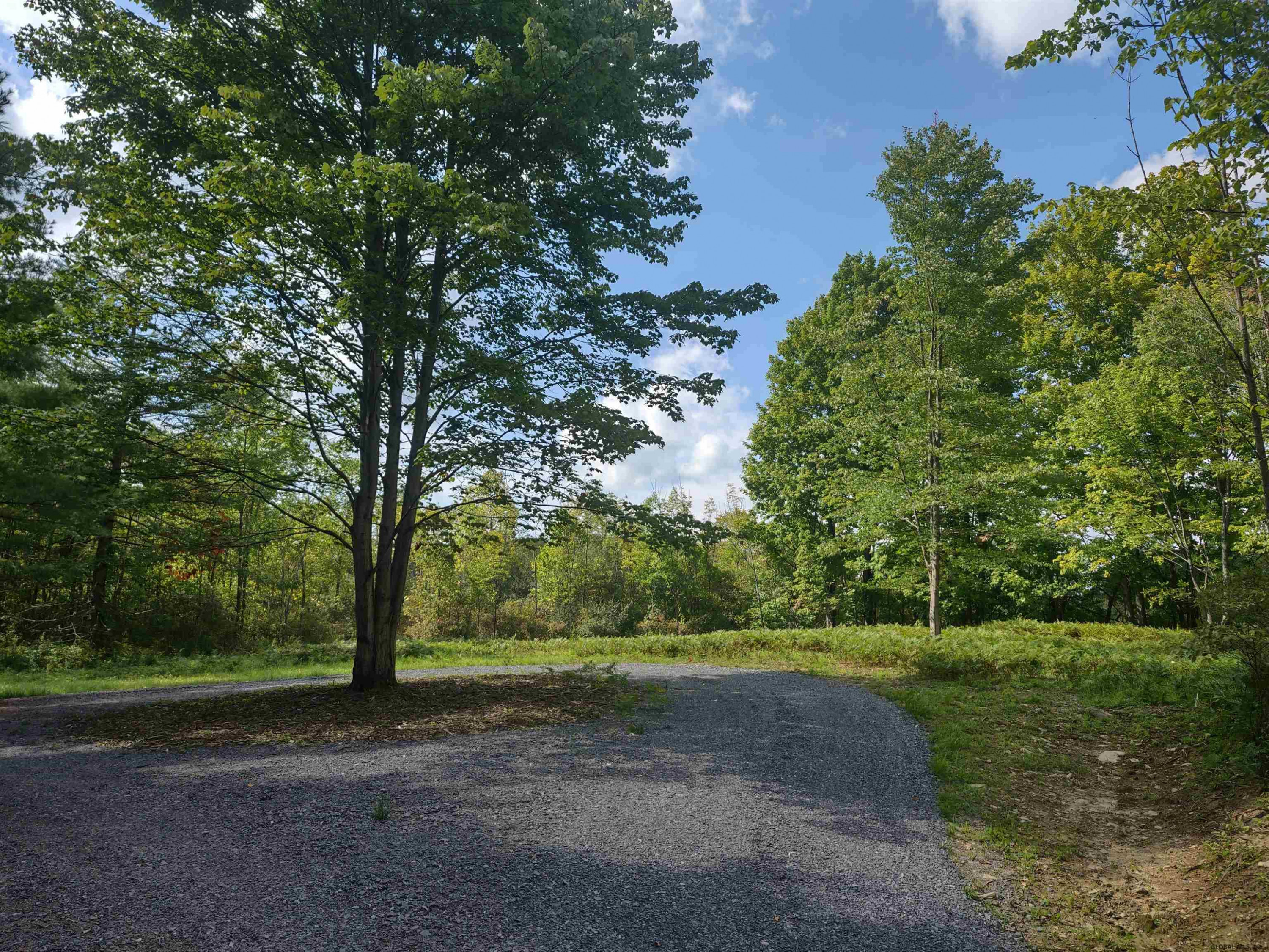 215 Knight Road Delanson, NY 12053 - Photo 1 of 10 Photo 1