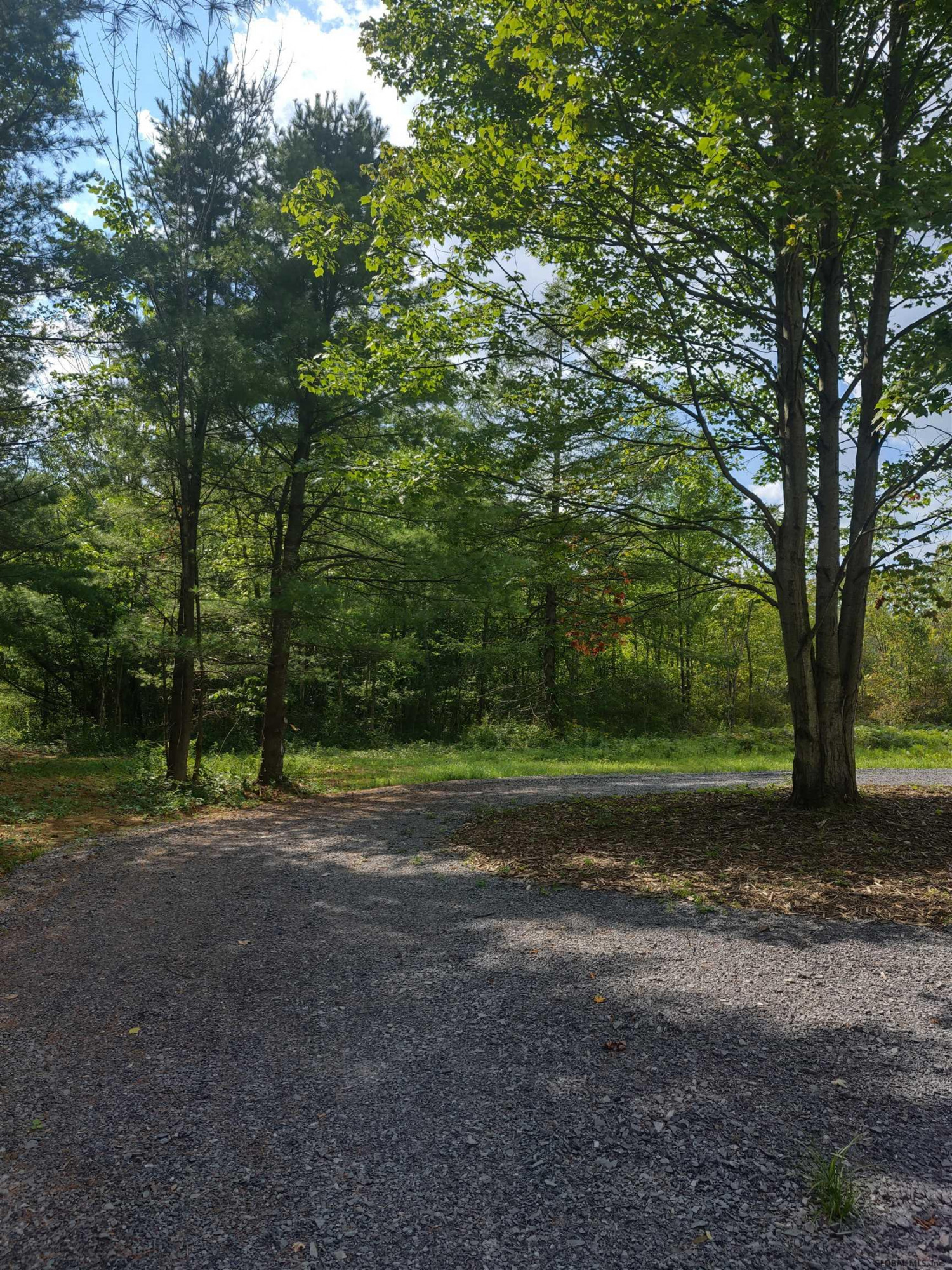 215 Knight Road Delanson, NY 12053 - Photo 5 of 10 Photo 5