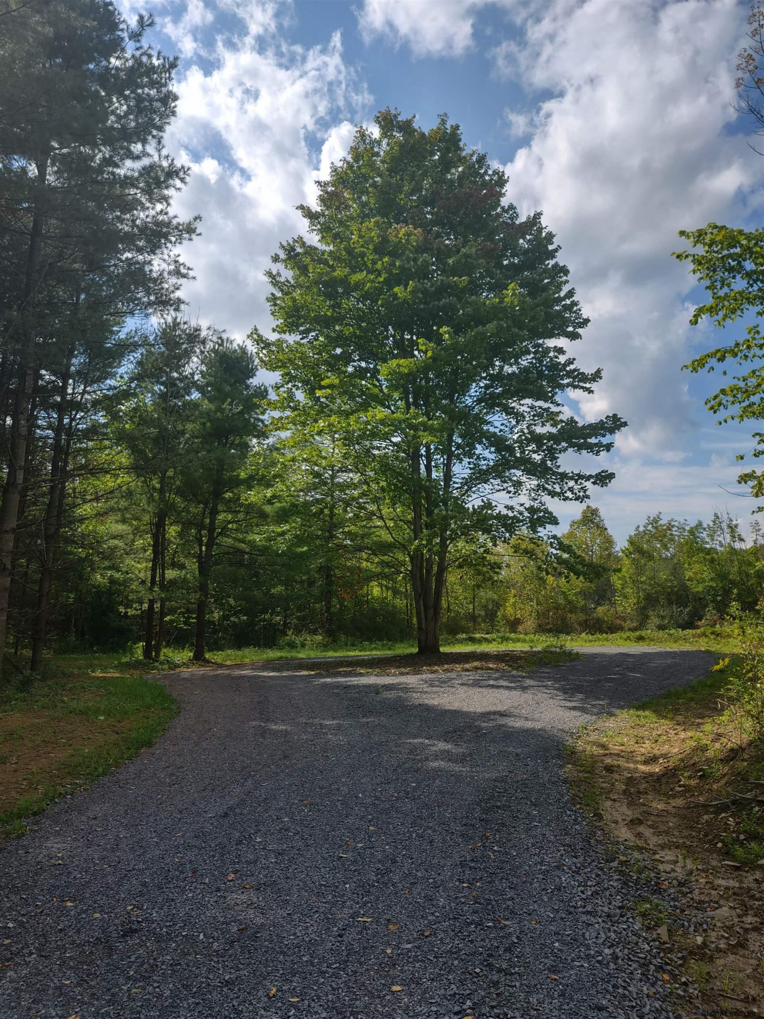 215 Knight Road Delanson, NY 12053 - Photo 7 of 10 Photo 7