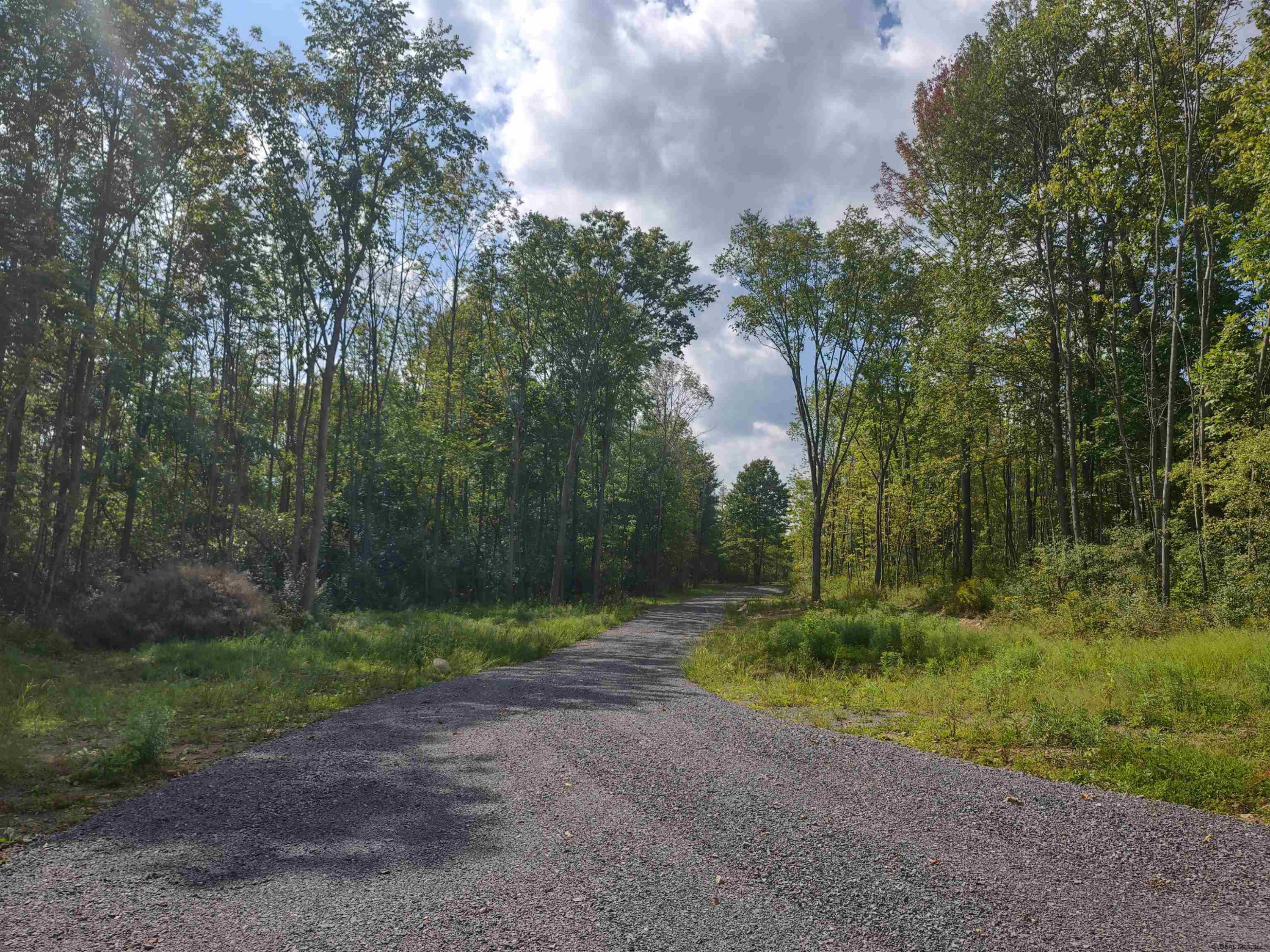 215 Knight Road Delanson, NY 12053 - Photo 8 of 10 Photo 8