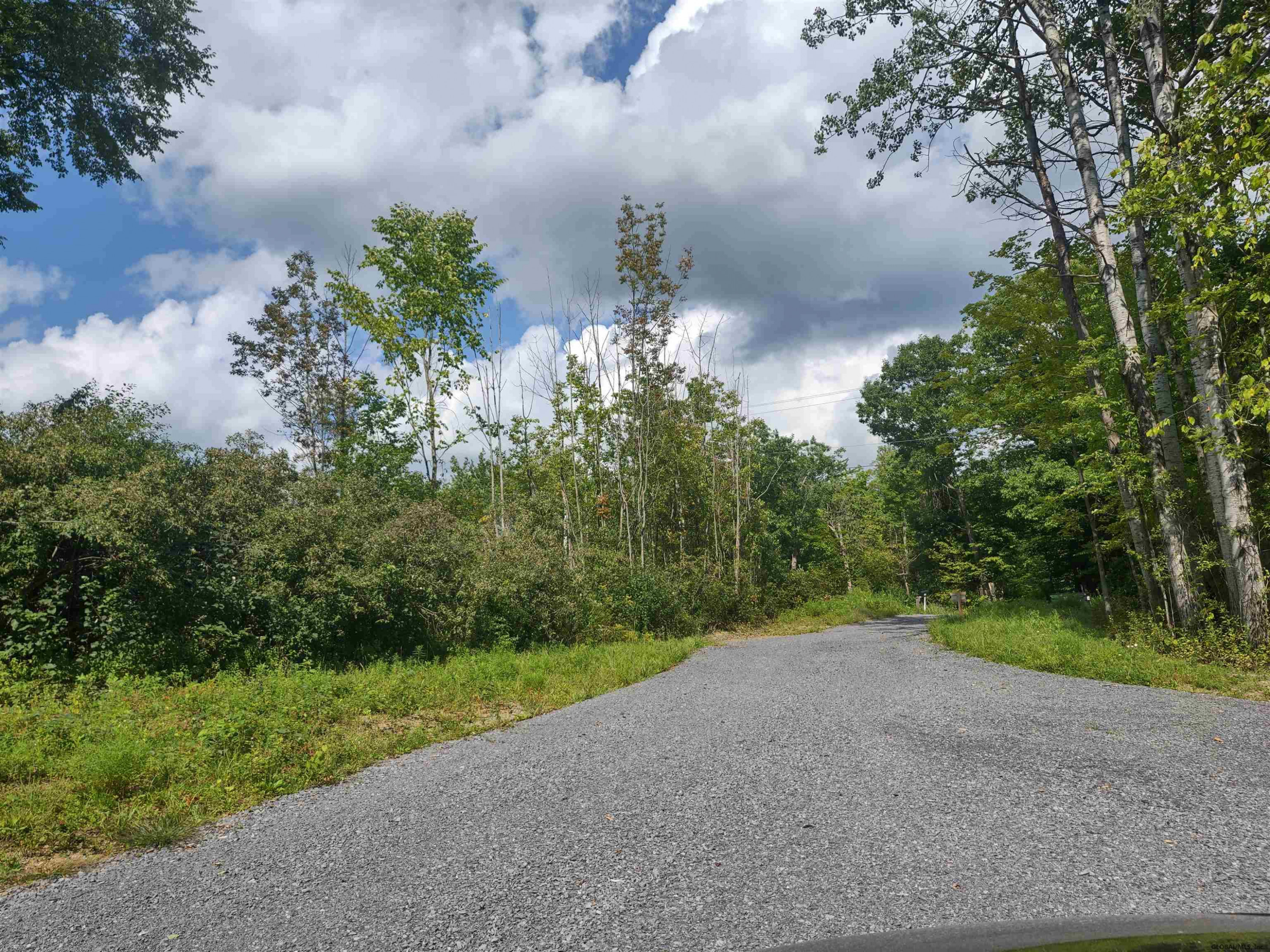 215 Knight Road Delanson, NY 12053 - Photo 9 of 10 Photo 9