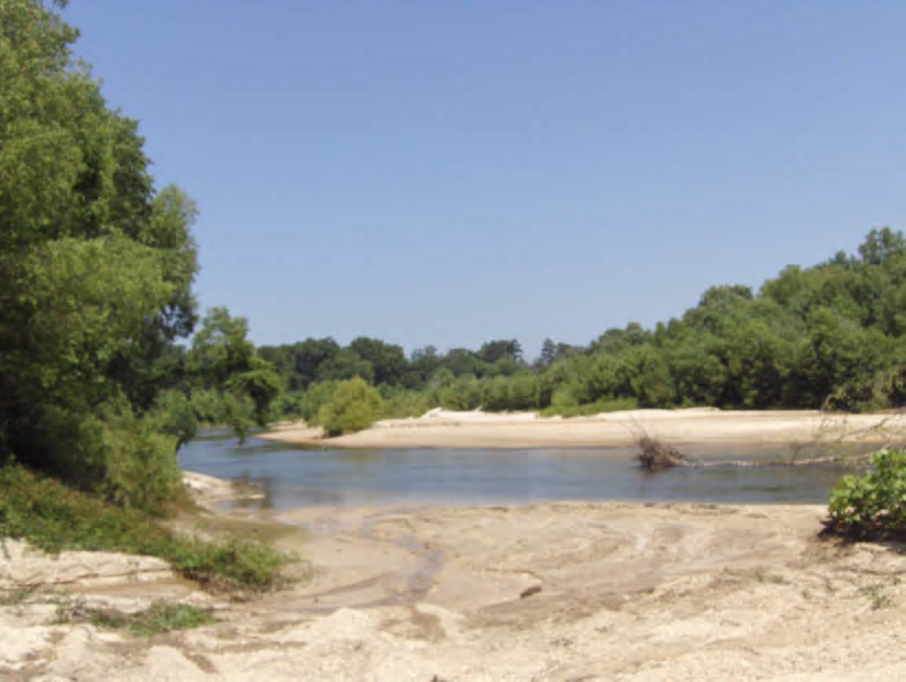 Lot 5 Old River Road Tylertown, MS 39667 - Photo 1 of 1 Main View