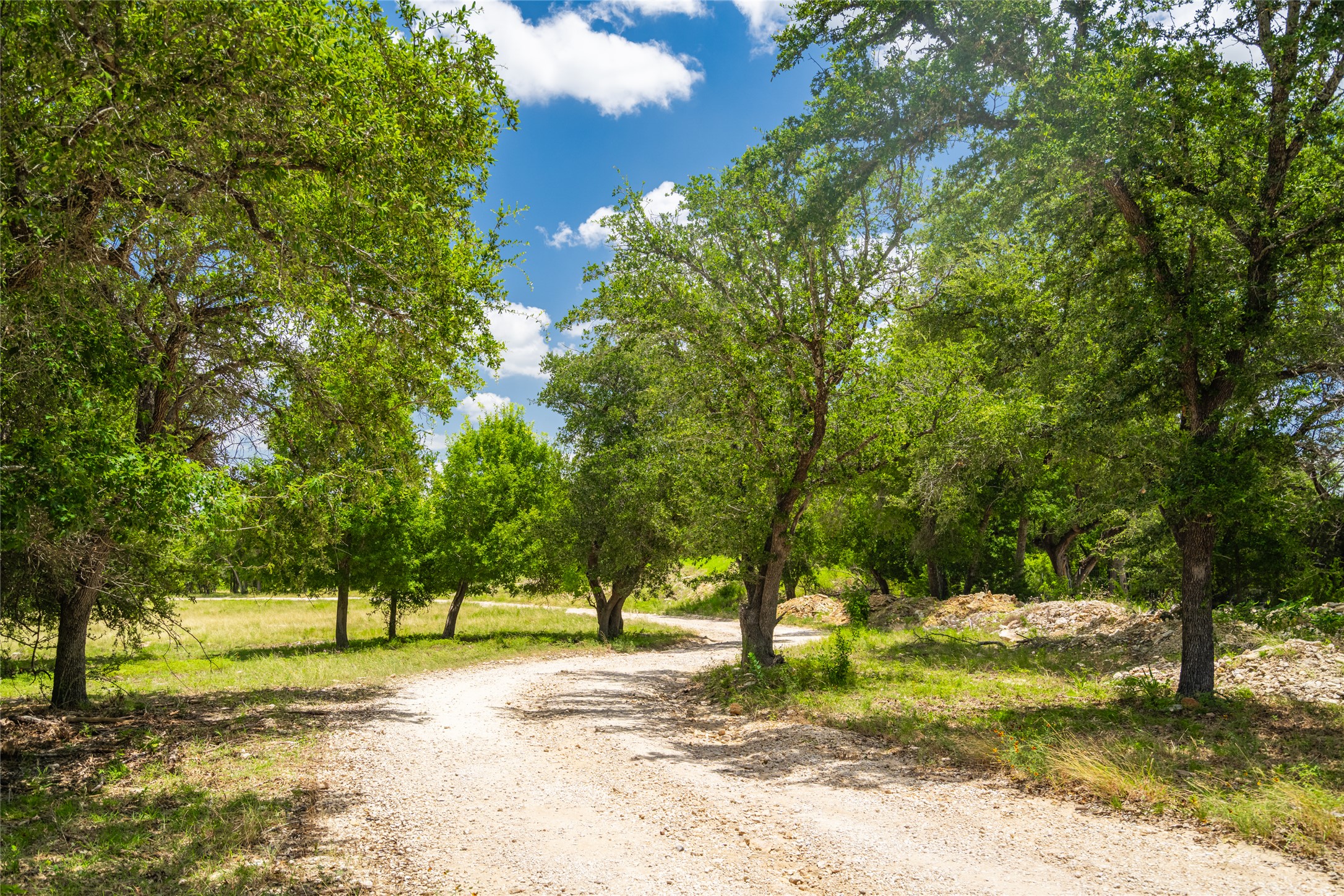 301 Blessing Ranch Road Liberty Hill, TX 78642 - Photo 6 of 40
