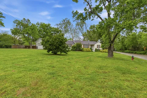 a view of a trees with a big yard