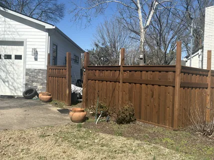 a view of a backyard with plants and large tree