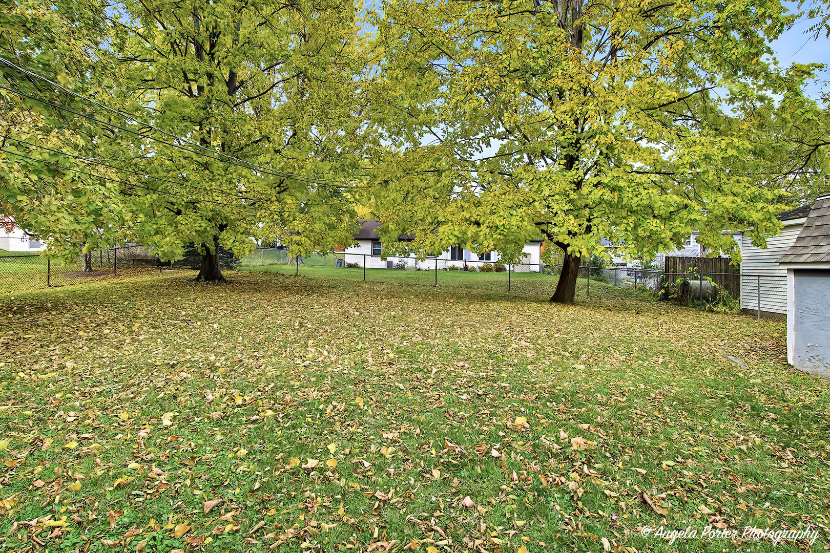 3216 Biscayne Road McHenry, IL 60050 - Photo 15 of 18 a view of yard with trees