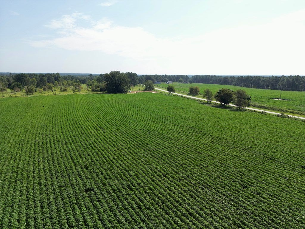 0 Hempstead Church Road Moultrie, GA 31788 - Photo 7 of 20 Gallery Image 7