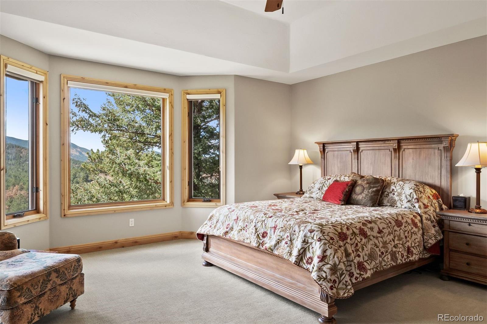 1007 Nob Hill Road Evergreen, CO 80439 - Photo 23 of 41 Gallery Image 23