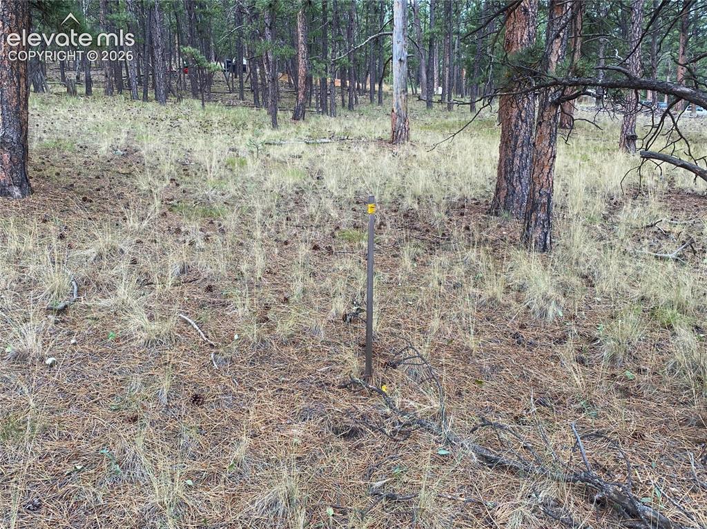 60 Pickens Road Florissant, CO 80816 - Photo 2 of 15 a backyard of a house
