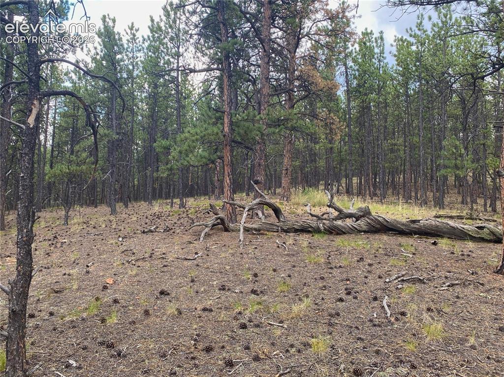 60 Pickens Road Florissant, CO 80816 - Photo 6 of 15 a view of a yard with a wooden fence