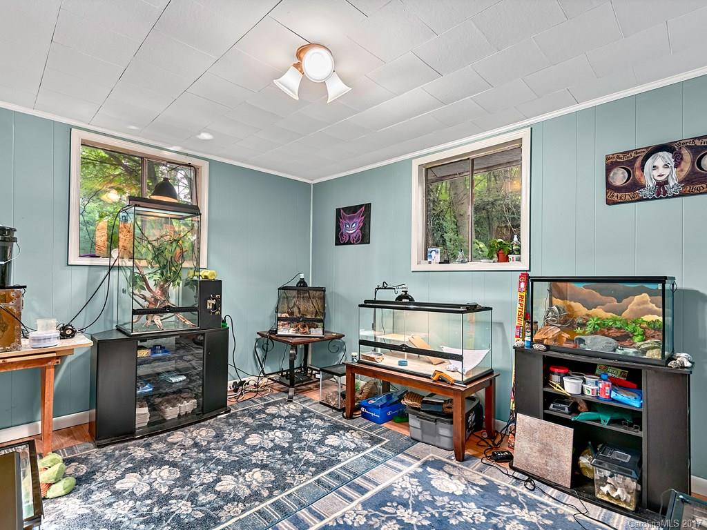 815 Case Cove Road Candler, NC 28715 - Photo 10 of 11