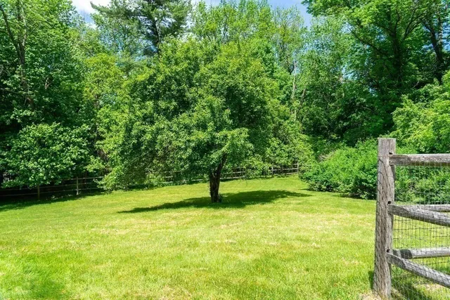 a view of an trees with a park