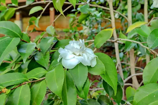 $579,000 | 10901 Footwall Drive, Grass Valley, CA 95945