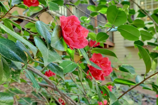 $579,000 | 10901 Footwall Drive, Grass Valley, CA 95945