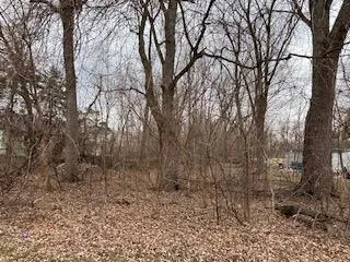 a view of a yard with trees