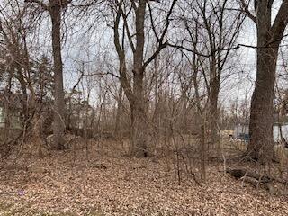 2524 Hart Road Highland, IN 46322 - Photo 2 of 3 a view of a yard with trees