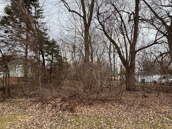 a view of a forest with trees in the background