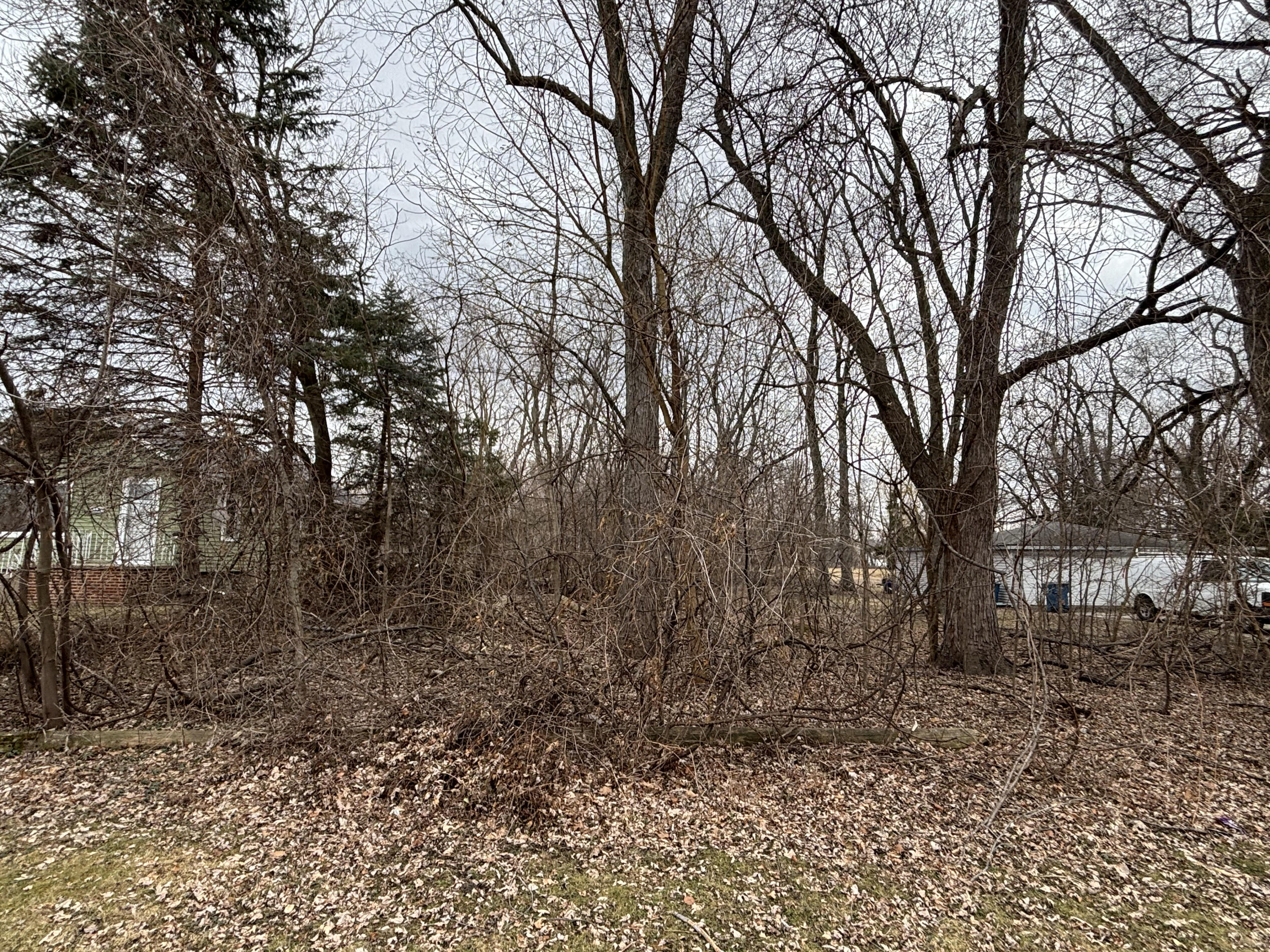 2524 Hart Road Highland, IN 46322 - Photo 3 of 3 a view of a forest with trees in the background