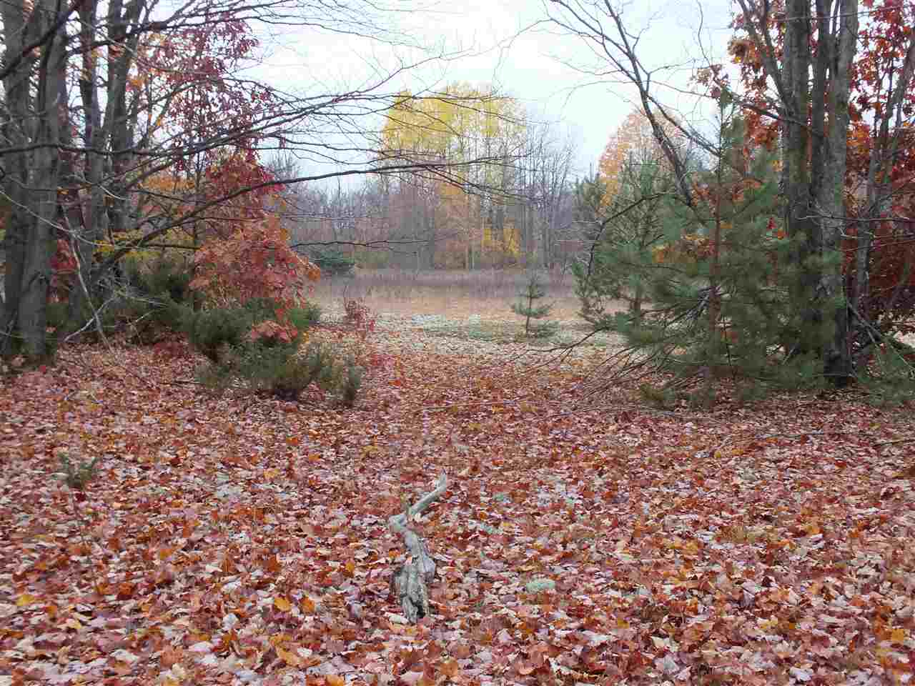 16 Roberts Road Beulah, MI 49617 - Photo 17 of 18 1824993-16.JPG
