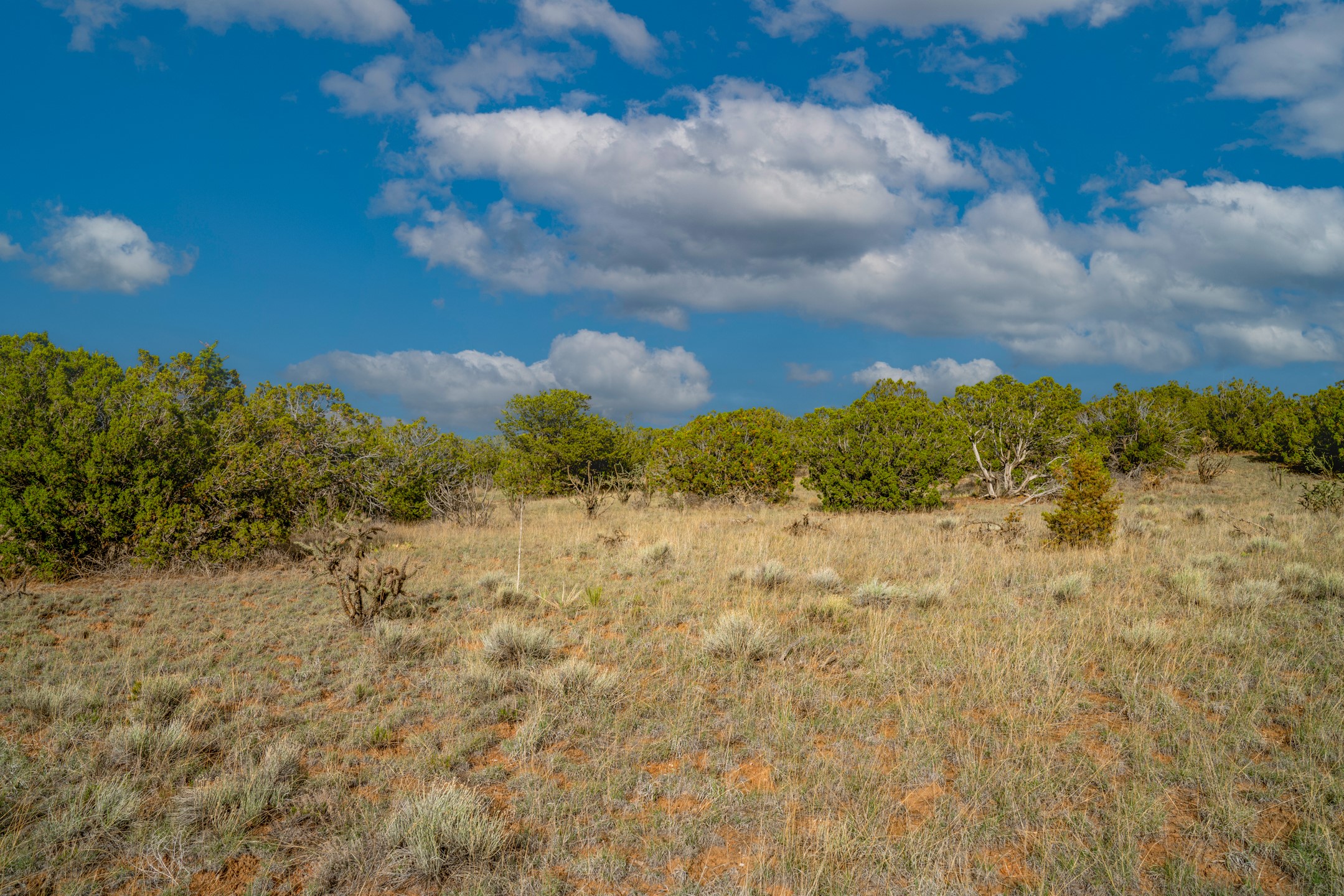 28 Old Road Lamy, NM 87540 - Photo 4 of 16
