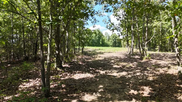 a view of backyard of house with green space