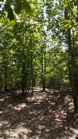 a view of outdoor space with trees