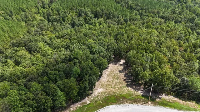 a view of a yard with a tree