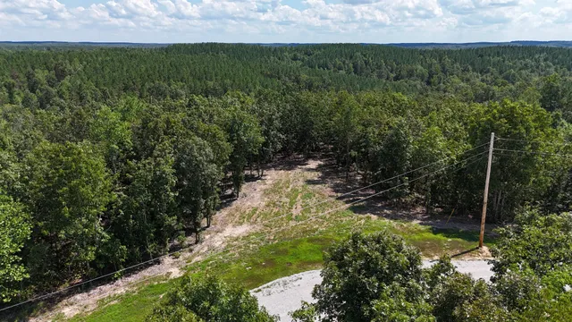 a view of a garden with a lake