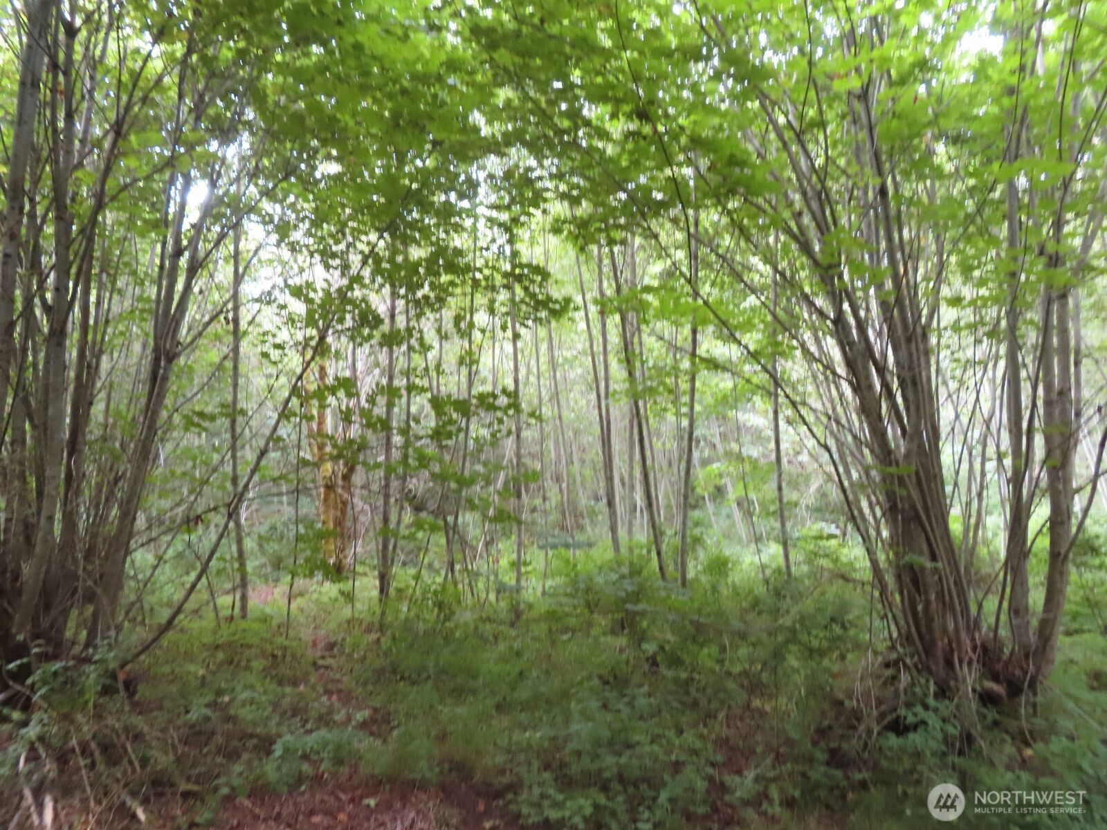 -xxx Del Ray Road Mossyrock, WA 98564 - Photo 16 of 25