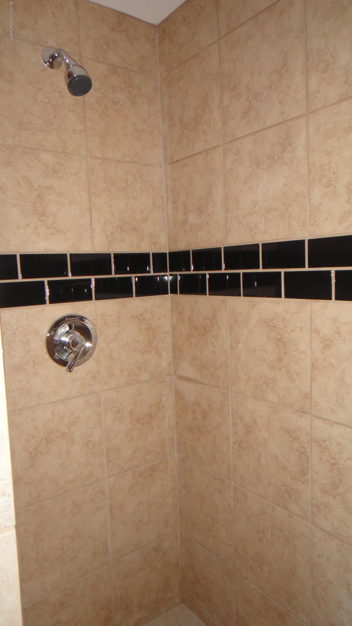 100 Geronimo Road Amarillo, TX 79108 - Photo 21 of 40 Master Shower