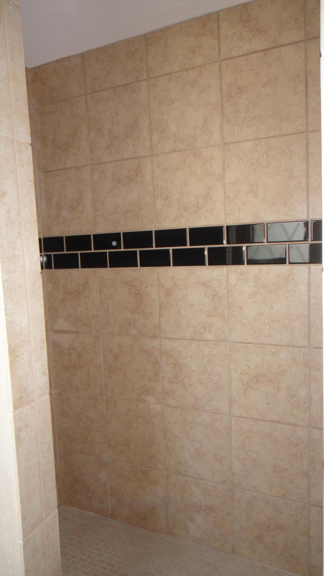 100 Geronimo Road Amarillo, TX 79108 - Photo 22 of 40 Master Shower Detail