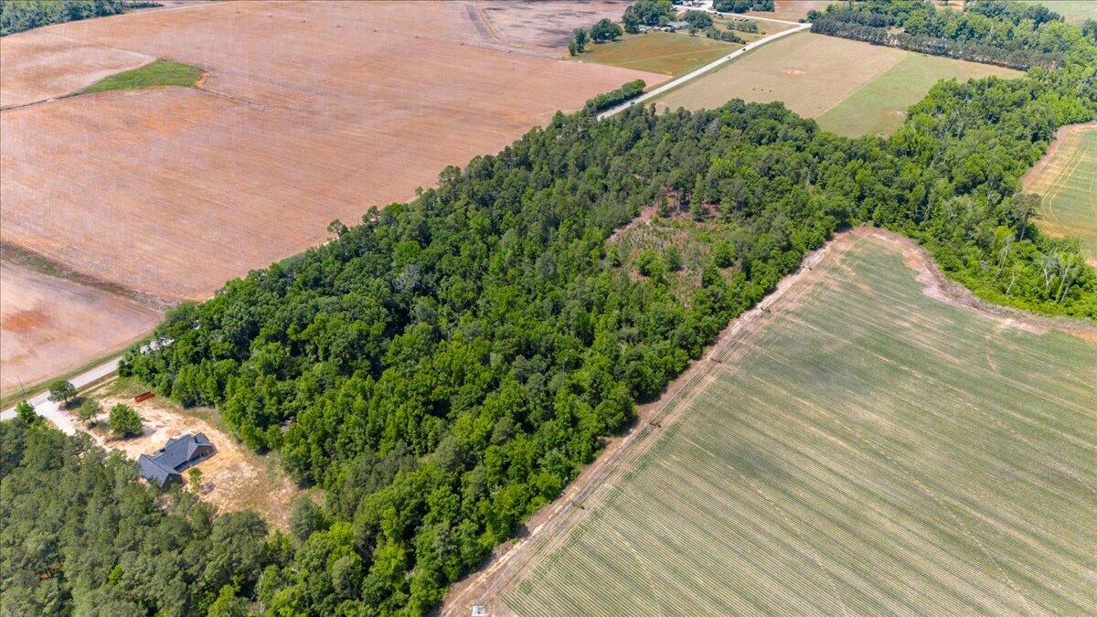 0 Herndon Road Waynesboro, GA 30830 - Photo 9 of 12 06-006-