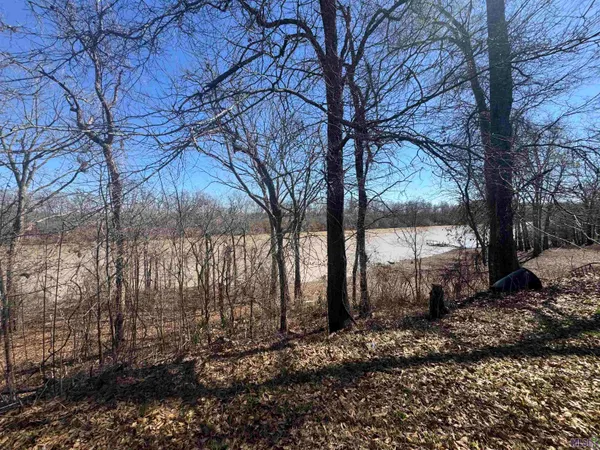 $55,000 | 576 Elam Turner Road, Clayton, LA 71326