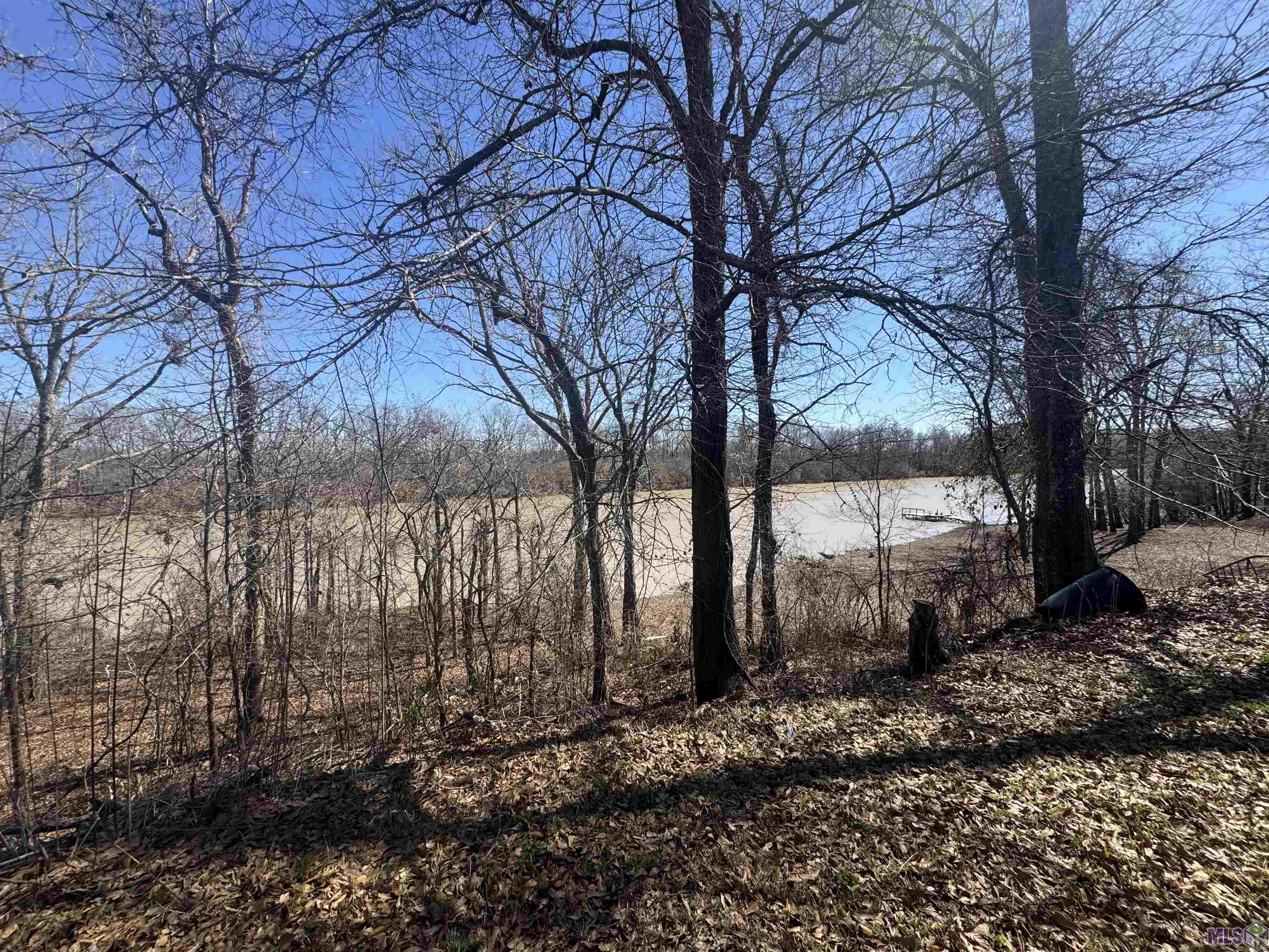 576 Elam Turner Road Clayton, LA 71326 - Photo 1 of 9