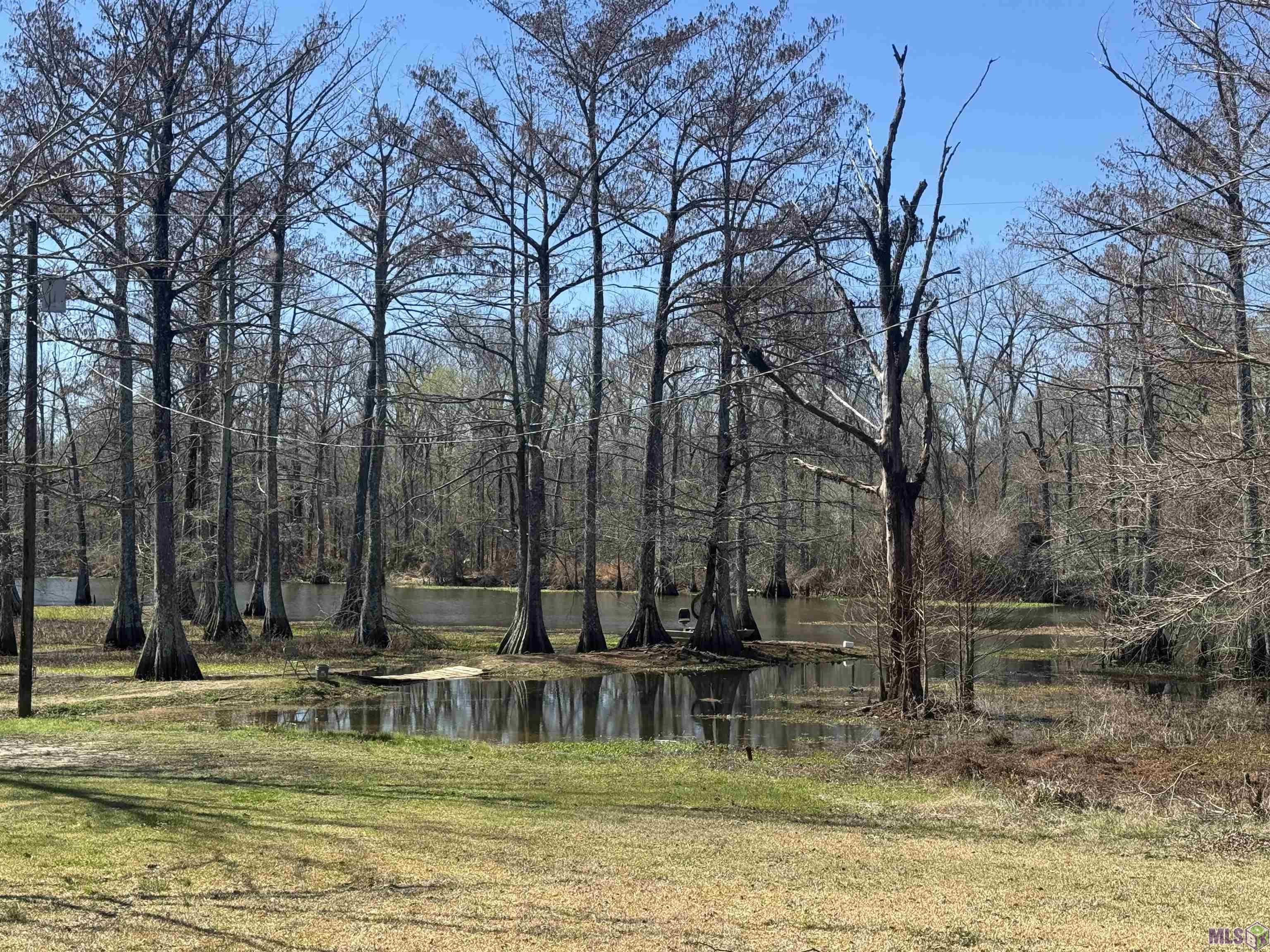 576 Elam Turner Road Clayton, LA 71326 - Photo 5 of 9