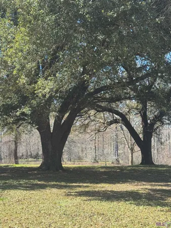 $55,000 | 576 Elam Turner Road, Clayton, LA 71326