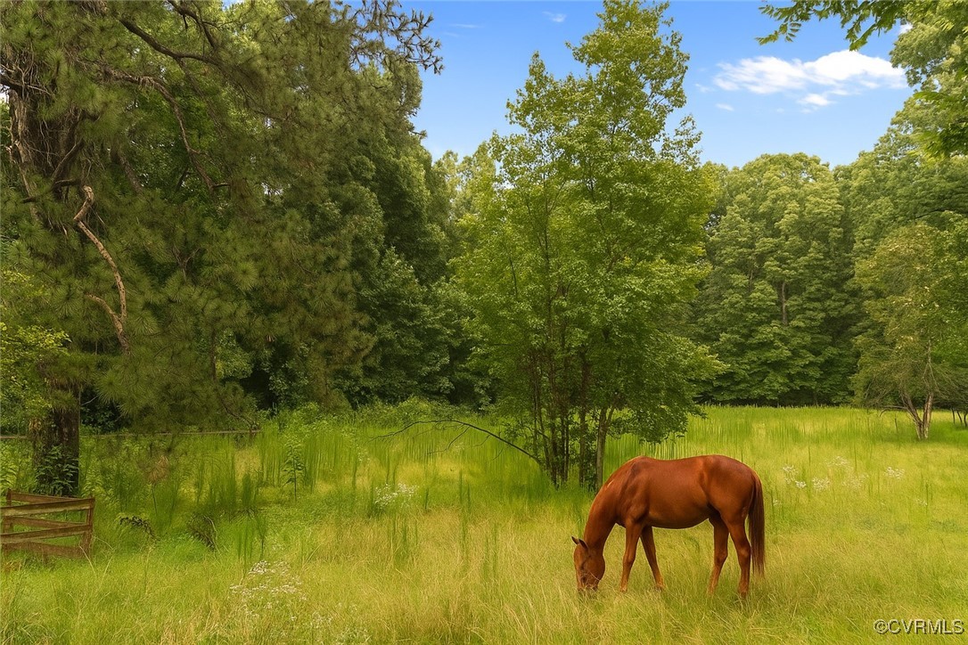 14831 Harrowgate Road Chester, VA 23831 - Photo 25 of 33 a view of yard from a lake view