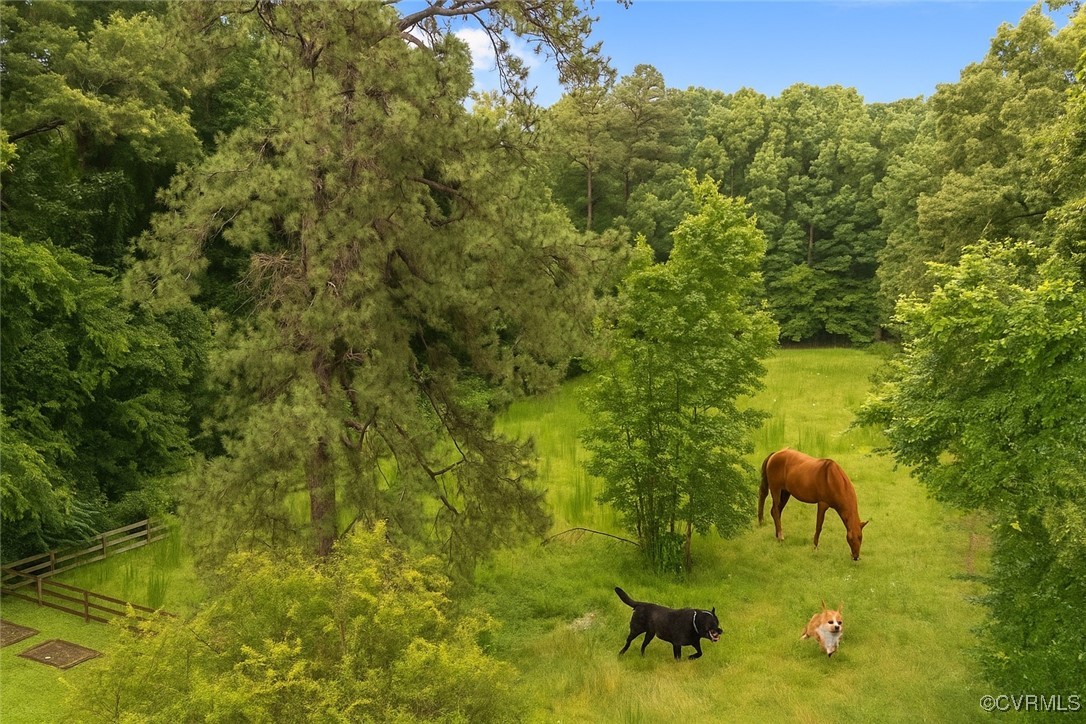 14831 Harrowgate Road Chester, VA 23831 - Photo 6 of 33 a view of a yard