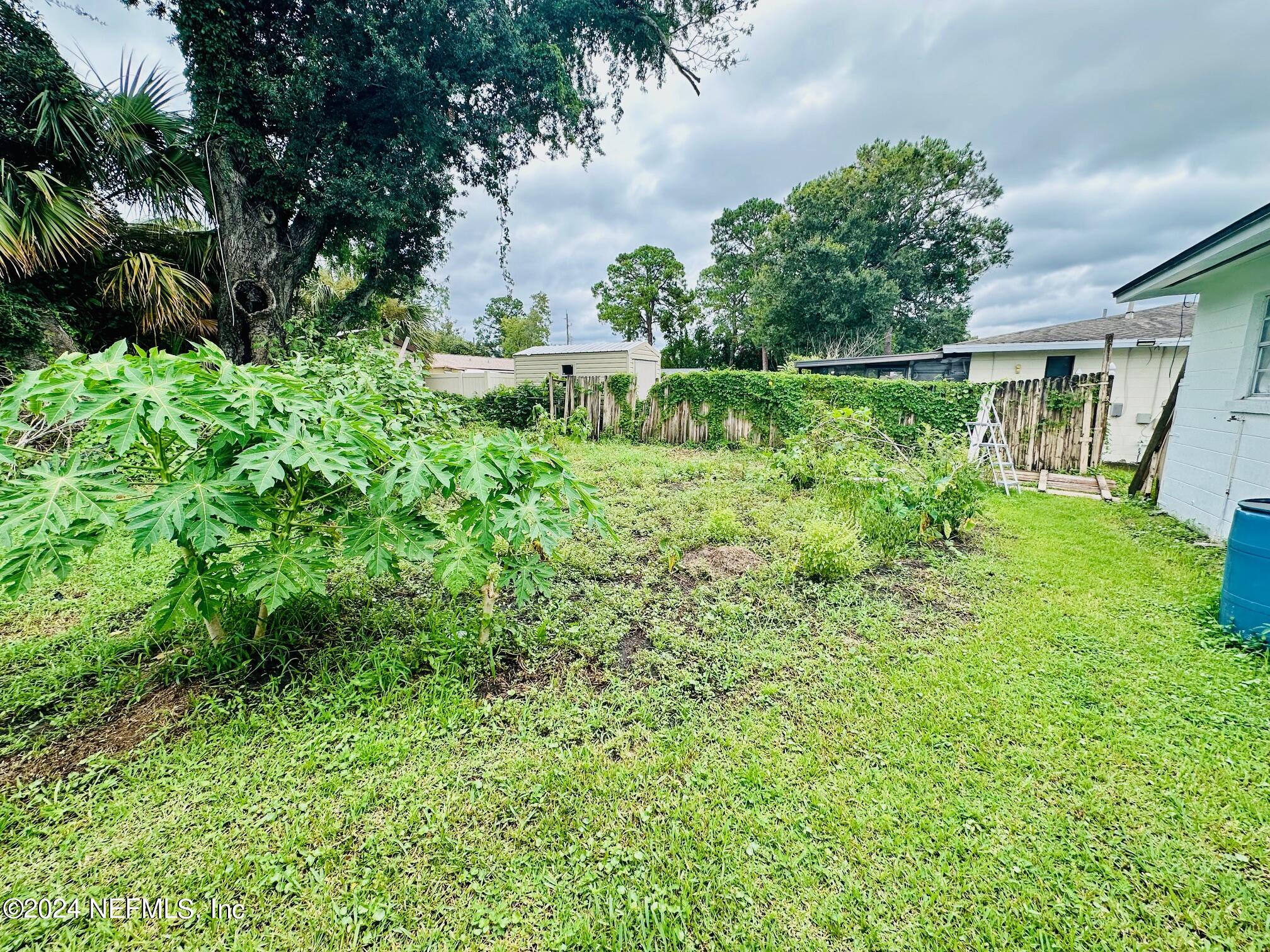 5521 Sabena Road Jacksonville, FL 32207 - Photo 6 of 13 a view of a garden with plants and large trees