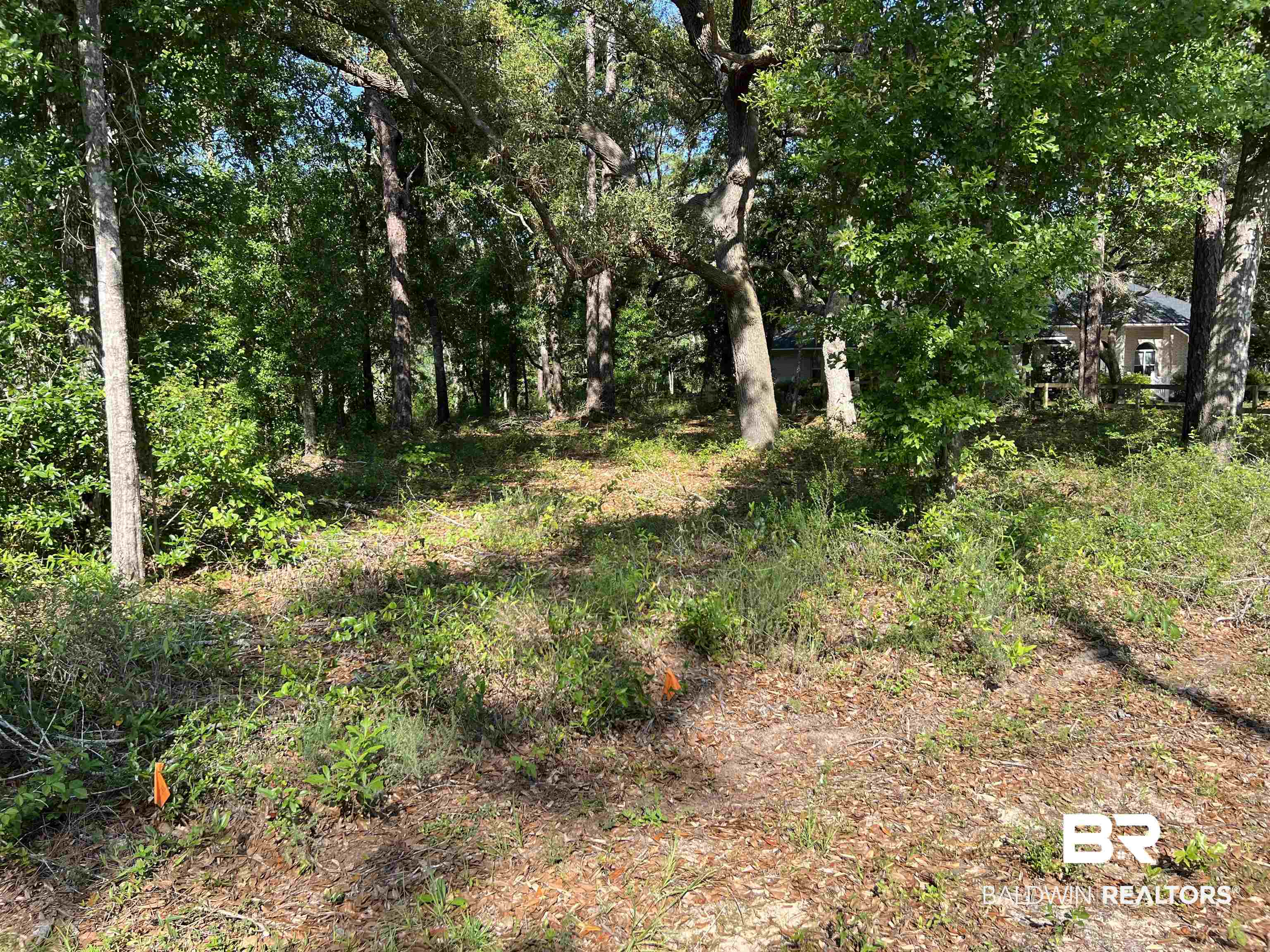 9545 North Bayou Road Lillian, AL 36549 - Photo 5 of 34 View of landscape