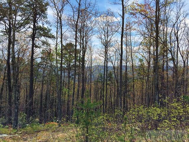 78 Persimmon Boone, NC 28607 - Photo 2 of 3 Gallery Image 2